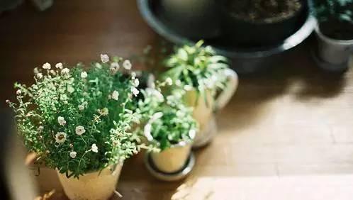 晚安美图170617：属于你的，永远都在