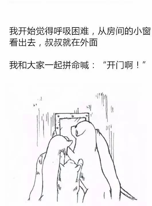 《狗狗的心声》一只狗在收容所的故事，泪流满面