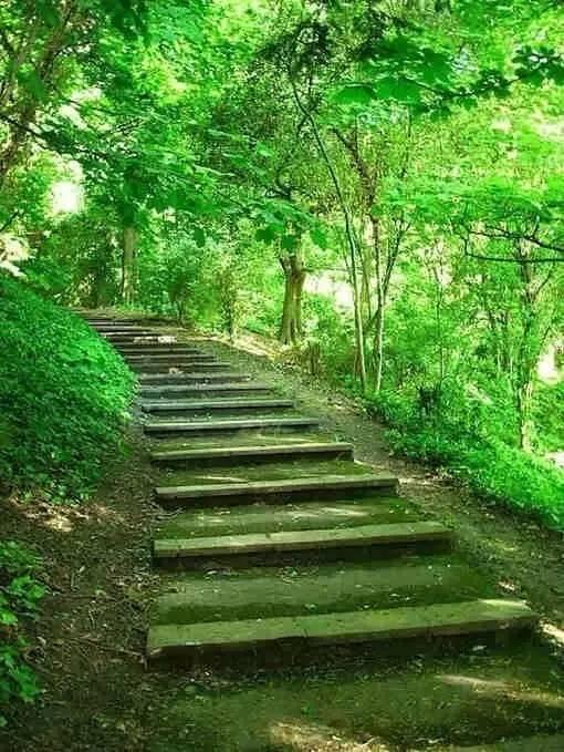 晚安美图170619：交一个什么样的朋友，真的很重要