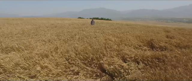 白鹿原二豆存在的意义，白鹿原大结局与原著出入太大