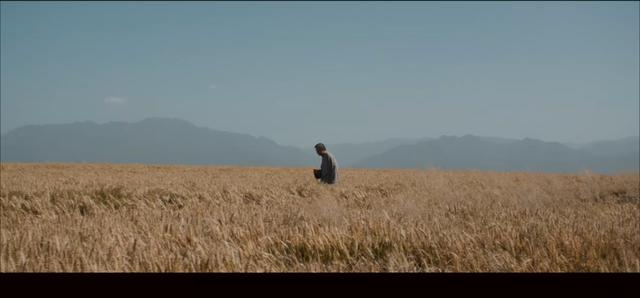 白鹿原二豆存在的意义，白鹿原大结局与原著出入太大