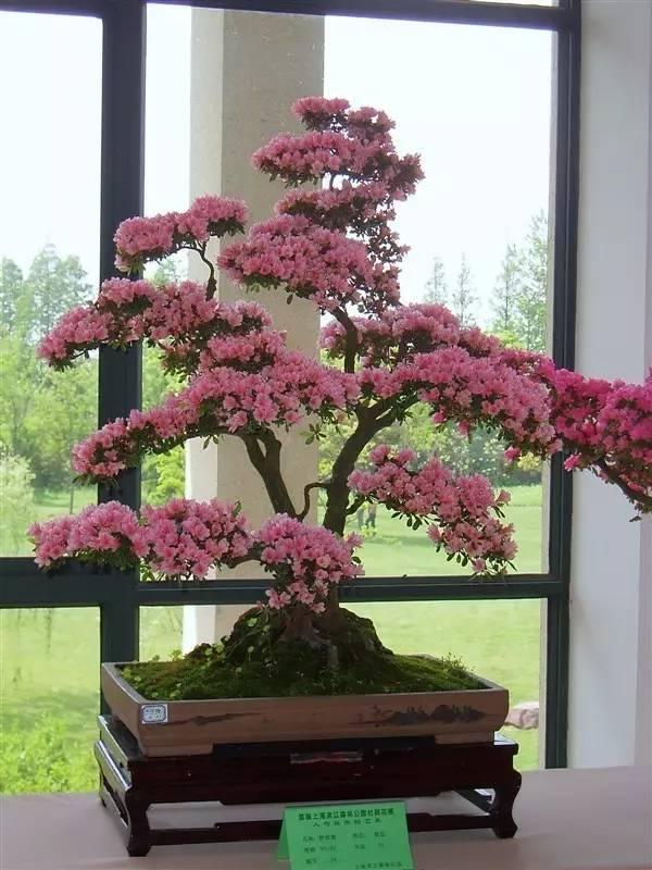 晚安文字170625：人心，都是相互的