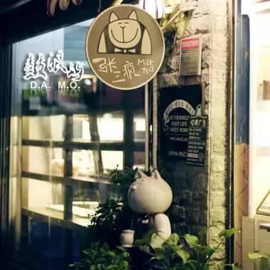 开一个猫咖的成本，开猫咪咖啡店需要多少成本