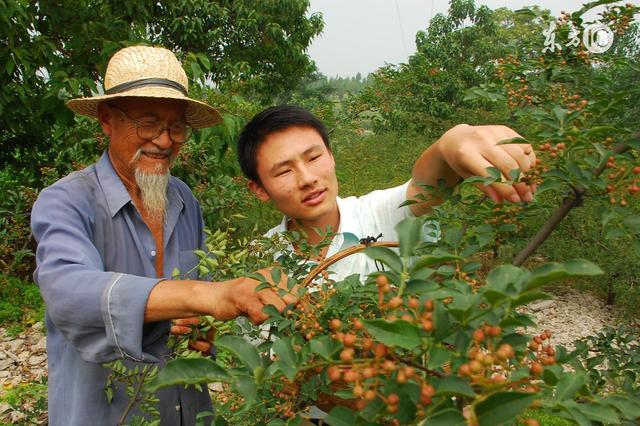 花椒和麻椒有什么区别，麻椒跟花椒有什么不一样（今天才知道看完涨知识）