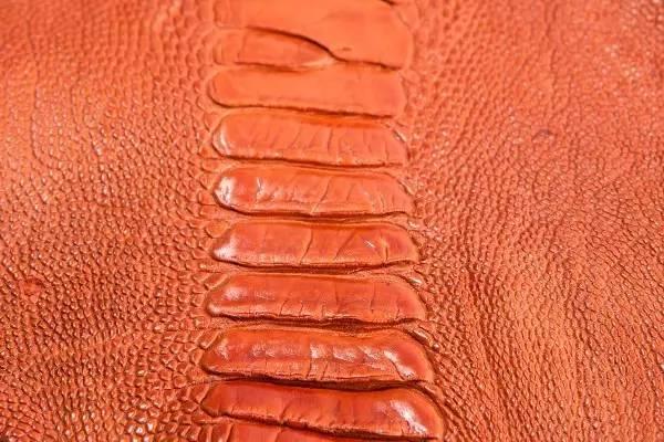 奢侈品麂皮鞋，鸵鸟皮珍稀皮革知多少