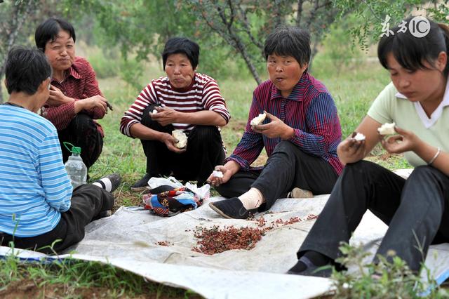 花椒和麻椒有什么区别，麻椒跟花椒有什么不一样（今天才知道看完涨知识）