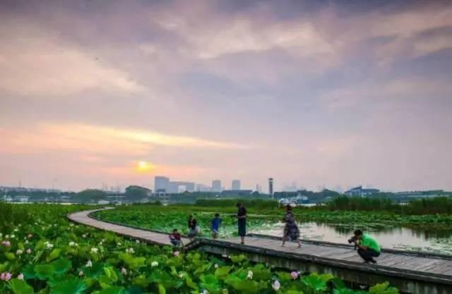 你对无锡的印象怎么样，无锡这座“小”城市到底强在哪
