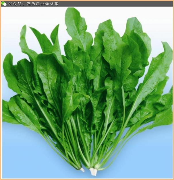 糖尿病能吃野苦菜吗(糖尿病人可以吃苦参片吗)