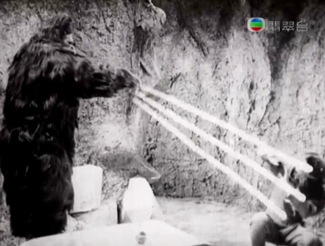 24个动画形象孙悟空，孙悟空在影视中的七十二变