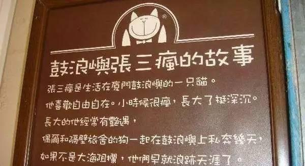 开一个猫咖的成本，开猫咪咖啡店需要多少成本