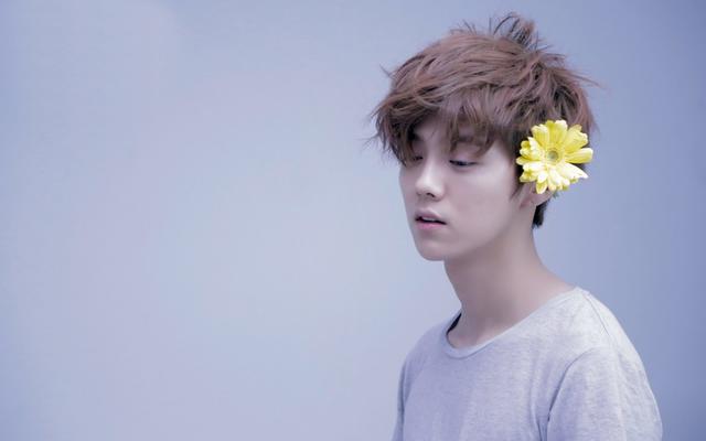 鹿晗微博给大家介绍一下，鹿晗燃爆微博故事