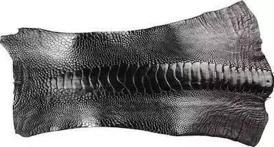 奢侈品麂皮鞋，鸵鸟皮珍稀皮革知多少