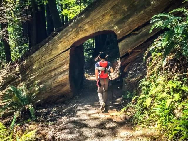 美国最美旅游景点，美国最酷15个景点