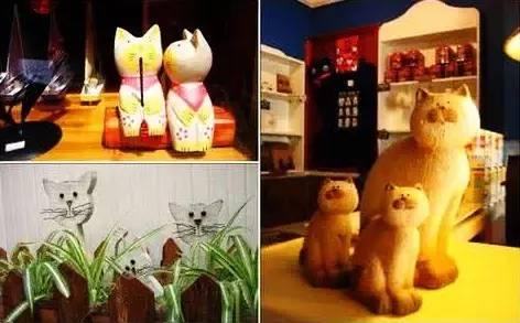 开一个猫咖的成本，开猫咪咖啡店需要多少成本