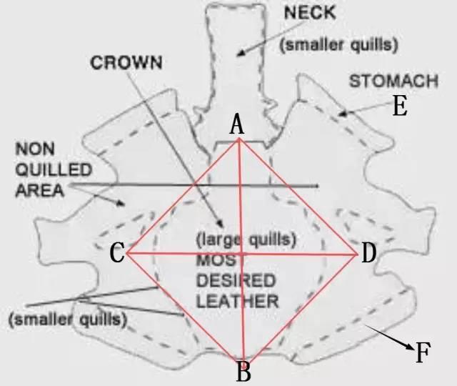 奢侈品麂皮鞋，鸵鸟皮珍稀皮革知多少