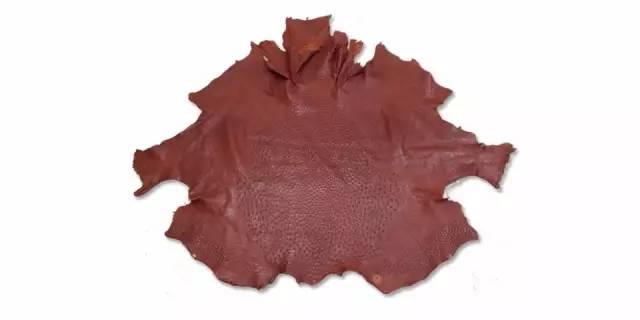 奢侈品麂皮鞋，鸵鸟皮珍稀皮革知多少