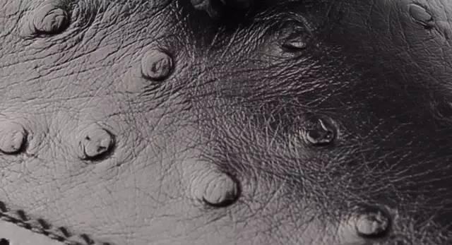 奢侈品麂皮鞋，鸵鸟皮珍稀皮革知多少