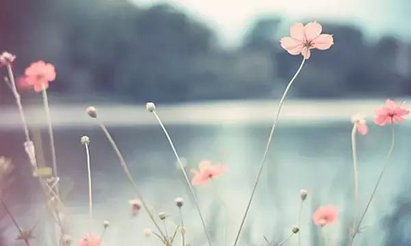晚安美图170629：情深多珍惜，情浅别执迷