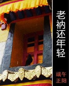 404八零婚纱工作室，男主是和尚道士的小说排行榜