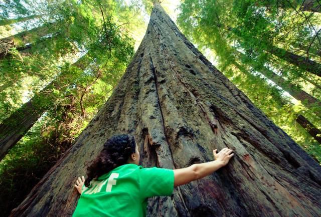 美国最美旅游景点，美国最酷15个景点