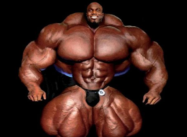 阿诺施瓦辛格肌肉为什么那么好看，施瓦辛格和史泰龙的肌肉是真的吗