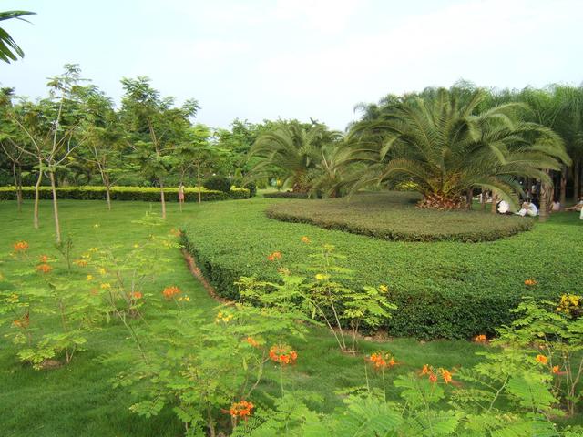 深圳红树林海滨公园，深圳情侣约会5大圣地