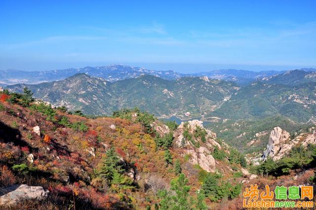 青岛崂山一日游，青岛崂山一日游路线（青岛良心建议不踩坑攻略）