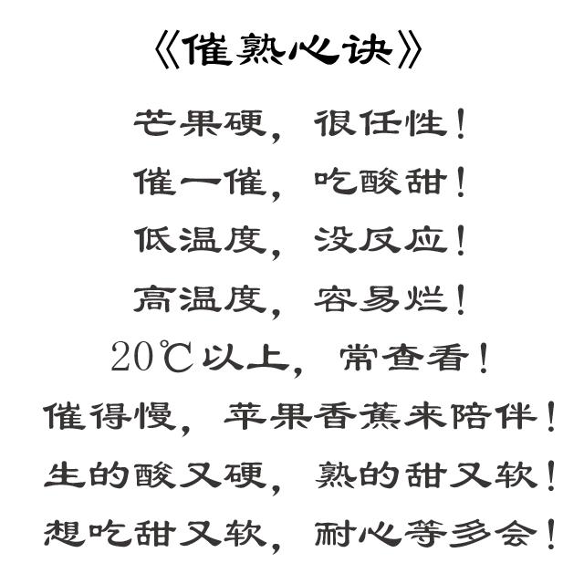 生芒果怎么催熟，怎样催熟芒果又快（生芒果怎样催熟）