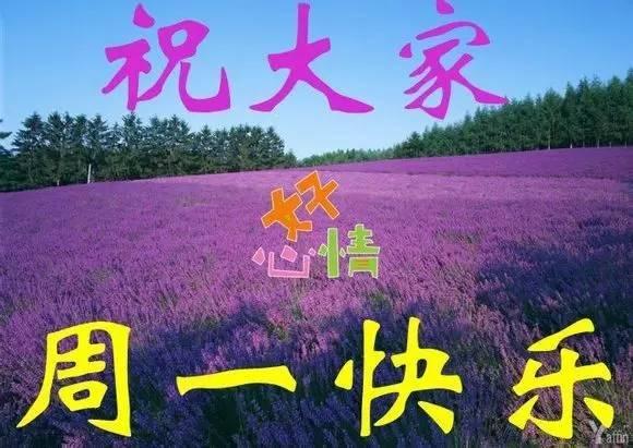 周一早上好，太美祝你快乐