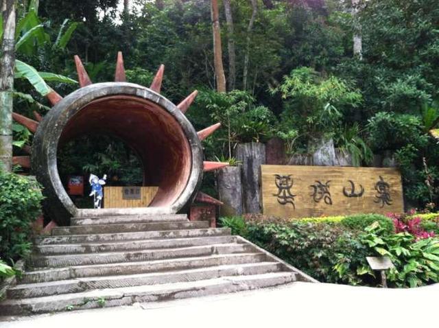 野象谷旅游攻略，西双版纳野象谷游玩攻略（西双版纳必游—超详细攻略—野象谷森林公园自由行）