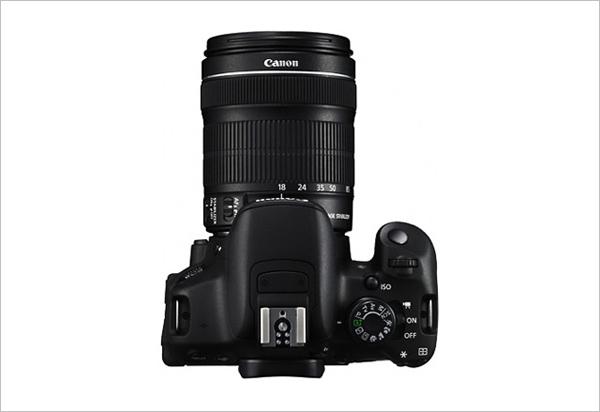 入门单反相机选哪款好，购机推荐：新手挑选单反相机