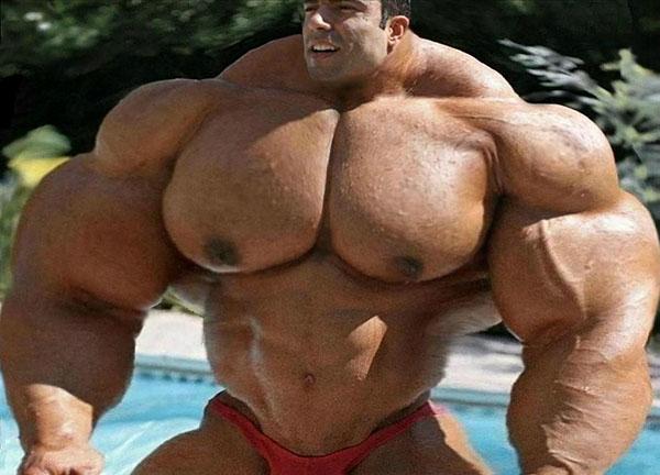 阿诺施瓦辛格肌肉为什么那么好看，施瓦辛格和史泰龙的肌肉是真的吗
