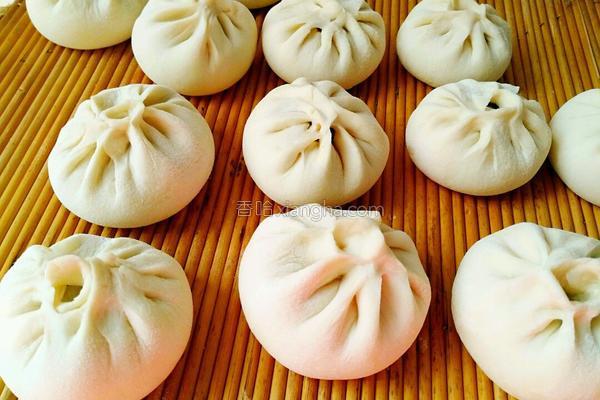 酱肉包子的做法，酱肉包子做法四川