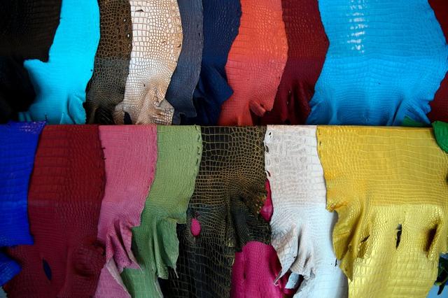 鳄鱼养殖场一般养的是什么鳄鱼，鳄鱼养殖基地成“打卡地”特色产业“催热”乡村游