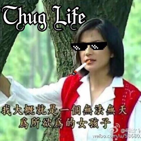 thug怎么用，Word教程-Word中通配符用法攻略