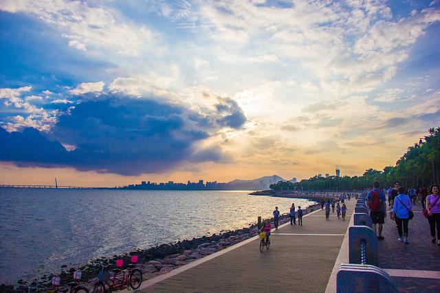 深圳红树林海滨公园，深圳情侣约会5大圣地