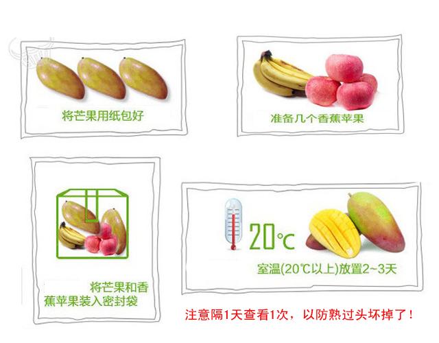 生芒果怎么催熟，怎样催熟芒果又快（生芒果怎样催熟）