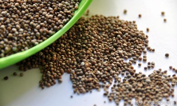 17款烧烤蘸料总有一款适合你，大东北失传多年的烧烤蘸料配方惊现天津