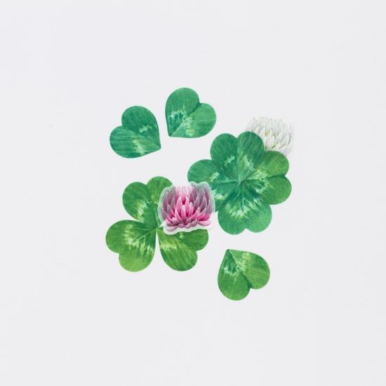 怎么做手帐胶带，怎么自己自制手帐胶带（蒙太奇手帐丨如何自制分装胶带）