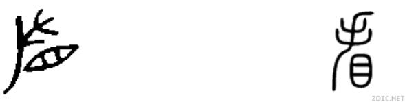 甲骨文典型字，甲骨文常用字学习