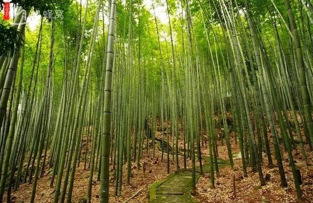 避暑攻略达州这些地方将承包你的整个三伏天，达州周边哪里适合避暑