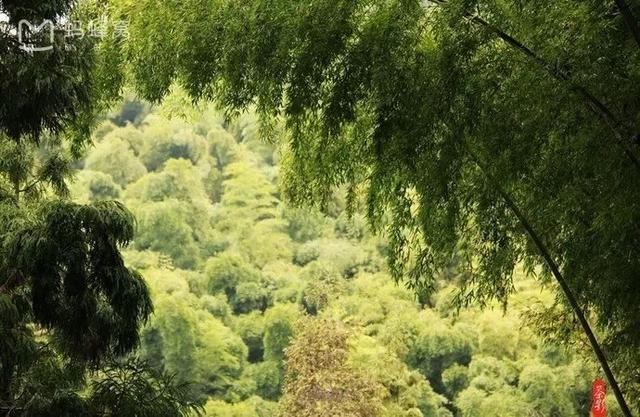 避暑攻略达州这些地方将承包你的整个三伏天，达州周边哪里适合避暑