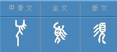 甲骨文典型字，甲骨文常用字学习