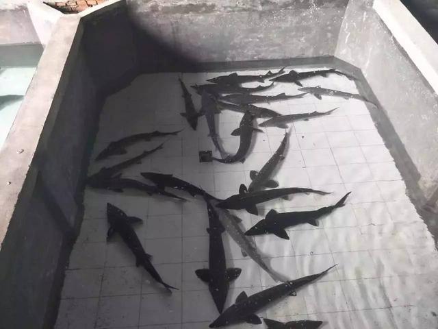 避暑攻略达州这些地方将承包你的整个三伏天，达州周边哪里适合避暑