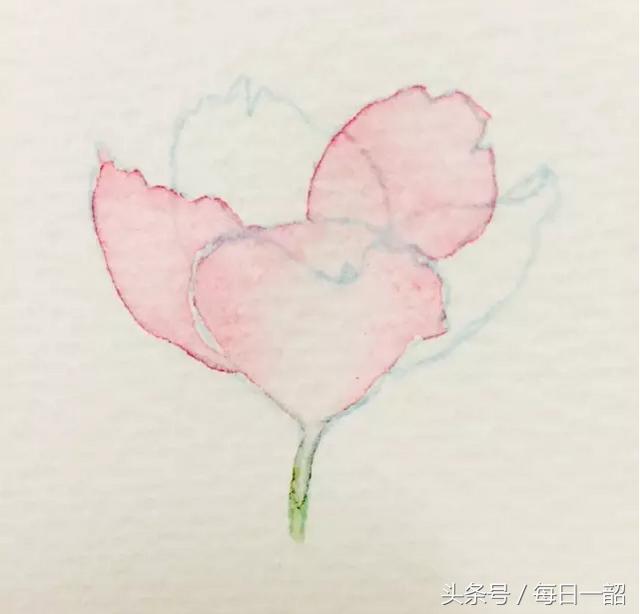 简单画樱花画法，樱花那么美，你想画吗