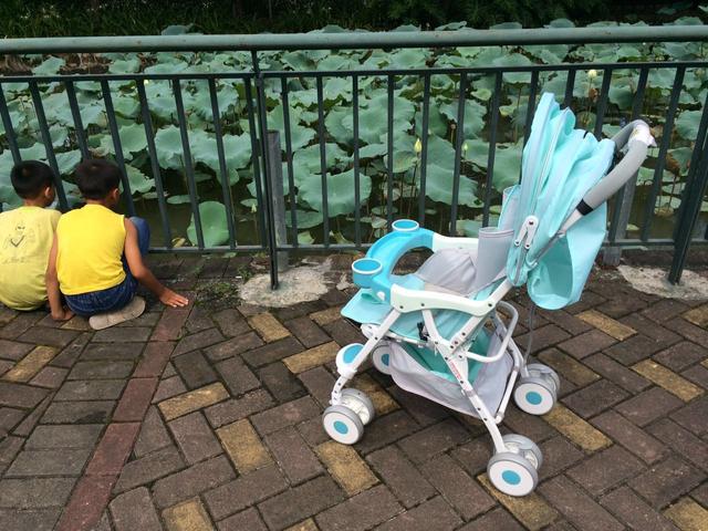 10款婴儿推车评测，并不是国外的品牌就好