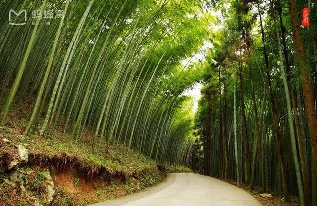避暑攻略达州这些地方将承包你的整个三伏天，达州周边哪里适合避暑
