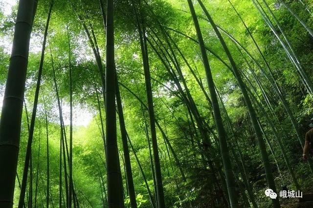 避暑攻略达州这些地方将承包你的整个三伏天，达州周边哪里适合避暑