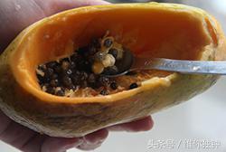 木瓜炖燕窝的做法，木瓜燕窝怎么做才好吃