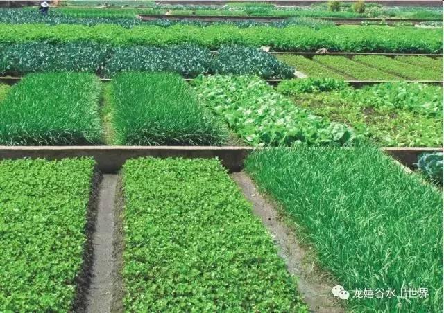 避暑攻略达州这些地方将承包你的整个三伏天，达州周边哪里适合避暑